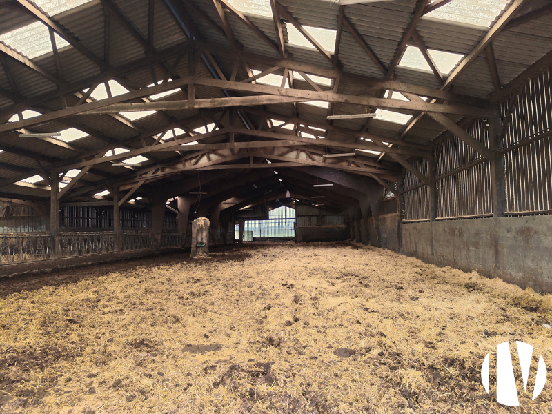 MORBIHAN, Exploitation laitière sur 84 hectares de SAU - 