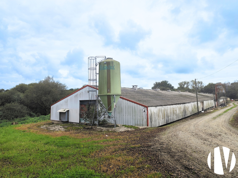 MORBIHAN, Production volailles de chair en intégration, sur 16 hectares - 