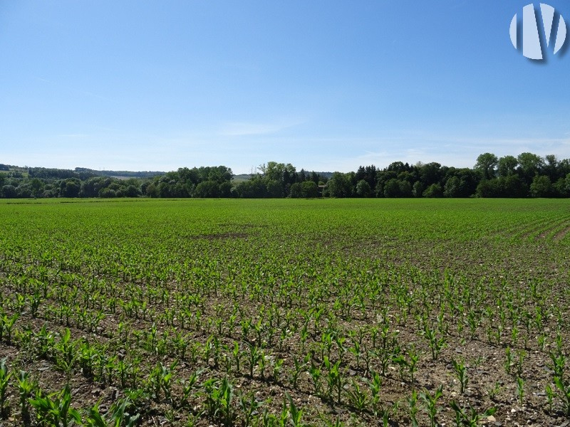 NOUVELLE AQUITAINE. UNIQUE : 160 ha cereal farm and 360kw manure digester - 