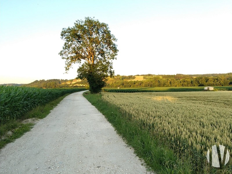 NOUVELLE AQUITAINE. UNIQUE : Exploitation céréalière sur 160ha et Méthanisation 360kw - 