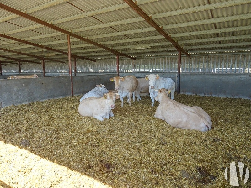 NOUVELLE AQUITAINE. UNIQUE : 160 ha cereal farm and 360kw manure digester - 