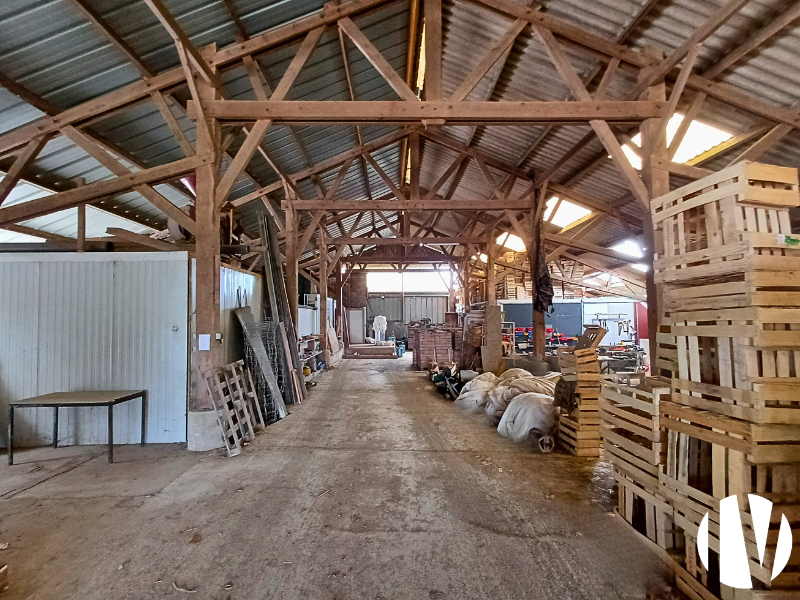 Centre Manche, maraîchage biologique sur 16 hectares - 