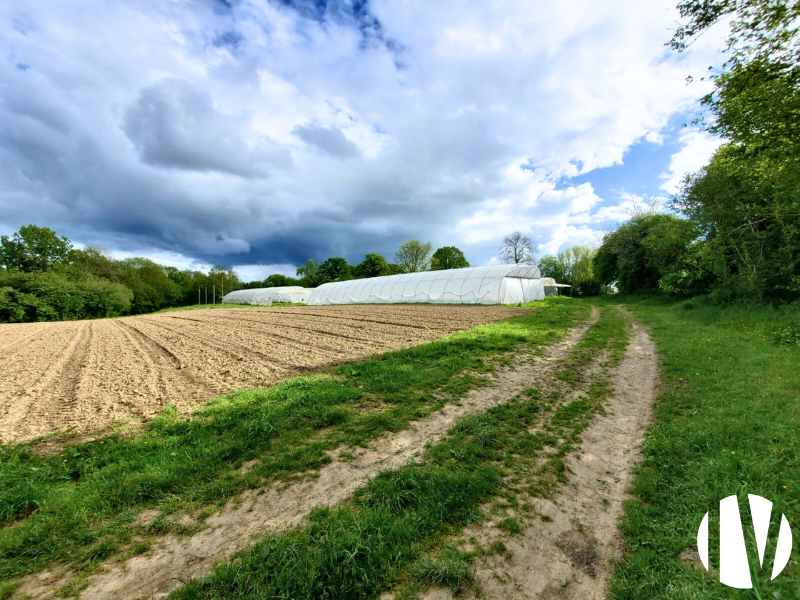 Centre Manche, maraîchage biologique sur 16 hectares - 