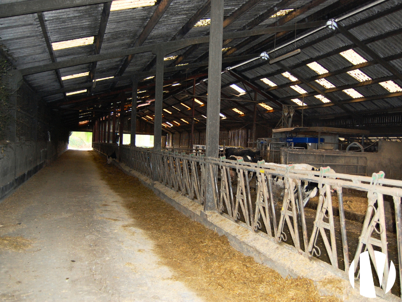 FINISTERE, 670,000L robotic milking with access to pasture - 