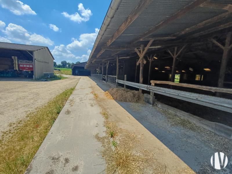 SUD MANCHE – Belle structure laitière sur 45 hectares - 