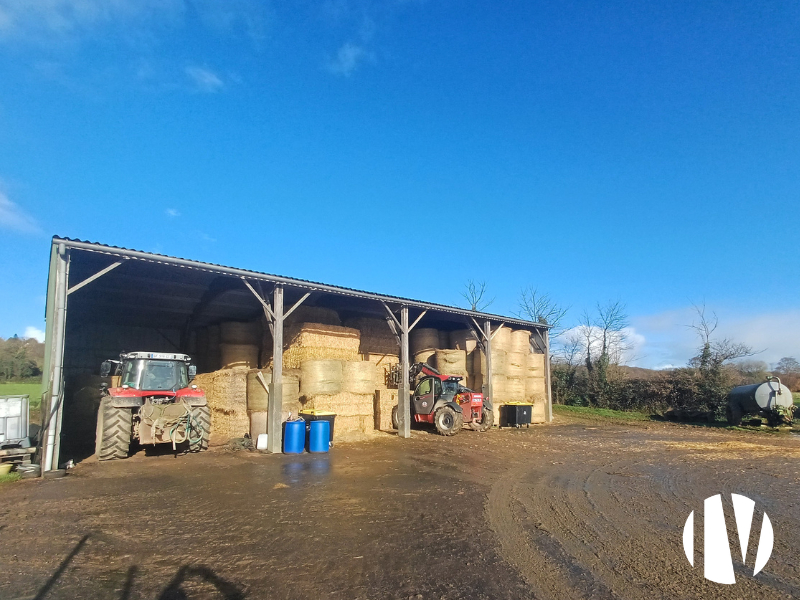 Exploitation laitière bien équipée Nord Cotentin - 