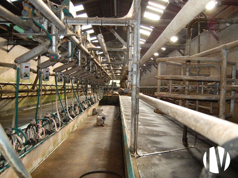 FINISTERE – 600 000 litres de lait sur 130 hectares - 