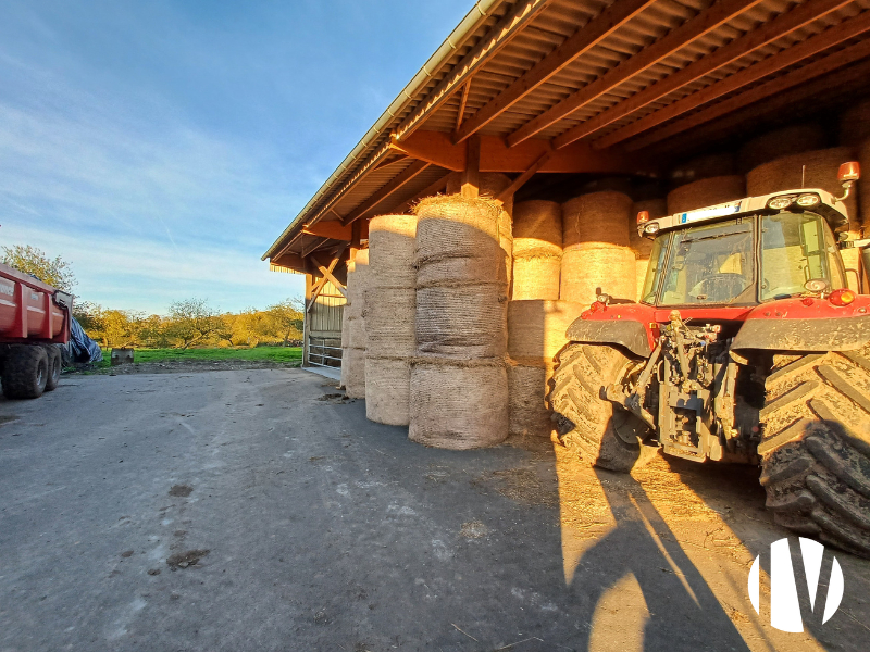 CALVADOS – 150 hectares of AOP dairy farm in the Bessin region - 