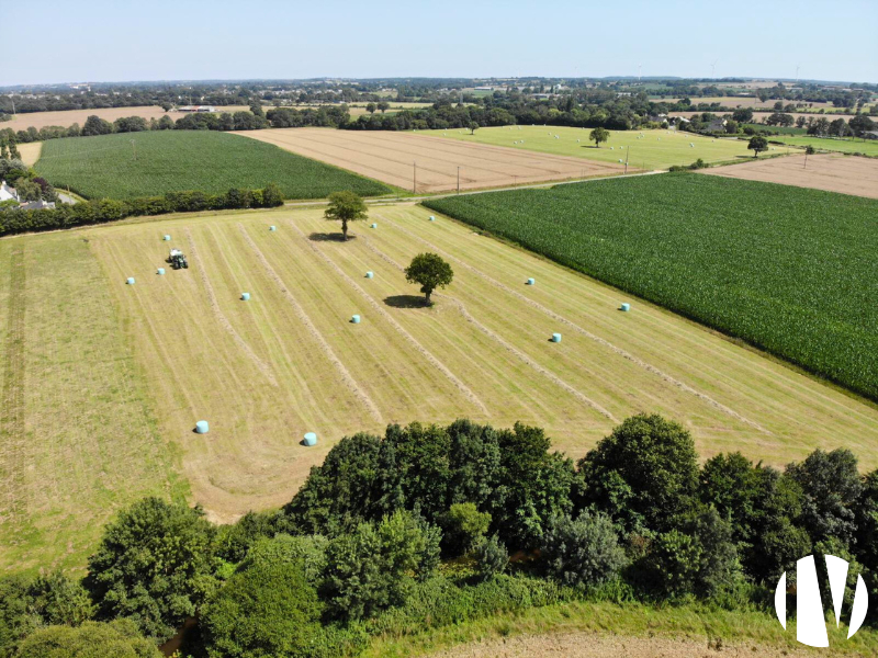 LOIRE-ATLANTIQUE. Very fine dairy farm, 620,000 litres - 