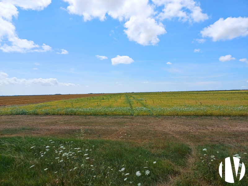 VENDEE. Exploitation polyculture sur 150 hectares - 