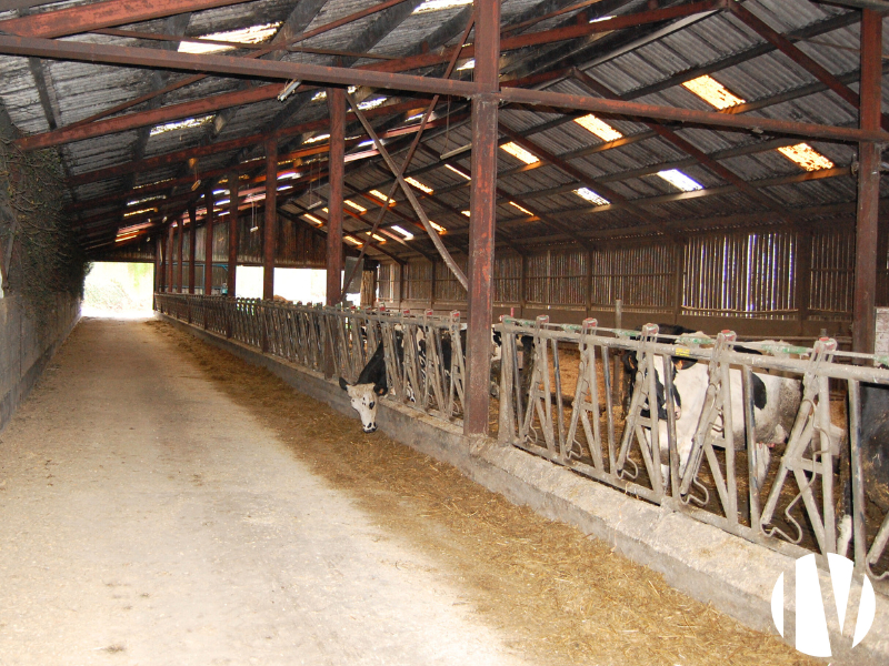 FINISTERE, 670,000L robotic milking with access to pasture