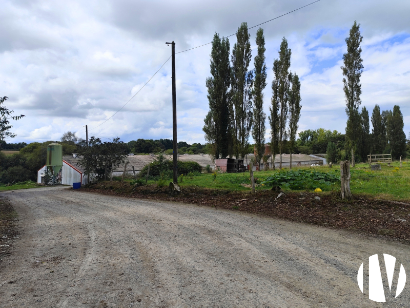 MORBIHAN, Production volailles de chair en intégration, sur 16 hectares