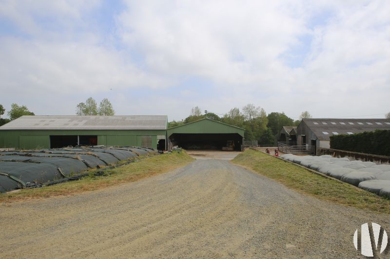 CÔTES D’ARMOR. 669,000 litres of milk from 100 hectares, close to the coast