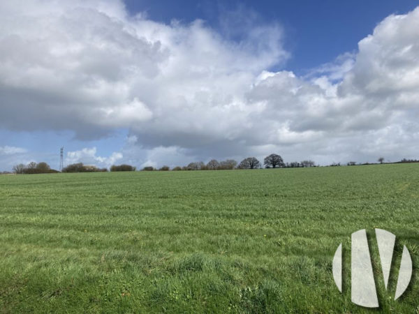 WEST FRANCE, Beautiful dairy farm on 130 hectares.