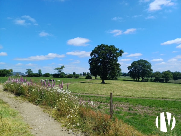 OUEST ORNE – 250 hectares en Lait et viande