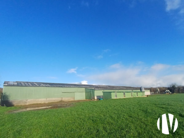 Manche: Well-equipped dairy farm