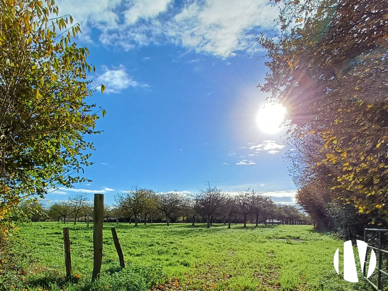 CENTRE MANCHE – Cider production farm