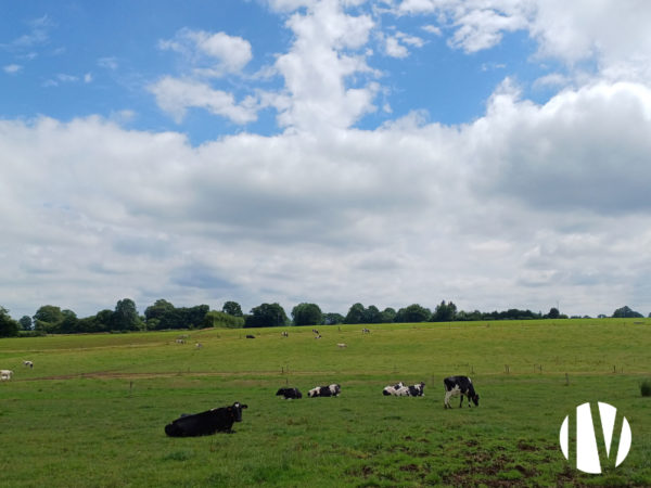 WEST ORNE – Melkveebedrijf  op 115 hectare