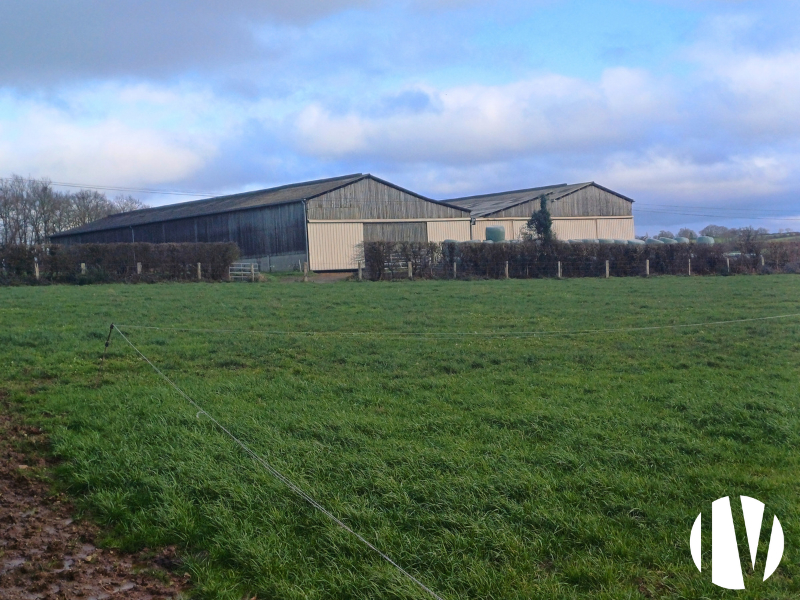 North Mayenne, Dairy farm on 75 hectares