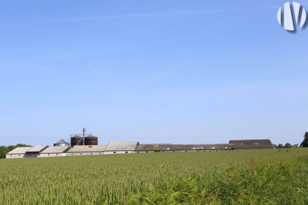 CÔTES D’ARMOR.  Pig farm 390 farrow-to-finish sows, slurry treatment and methanisation plant