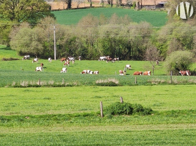 EST MAYENNE. Belle exploitation de 530 000 litres de lait sur 88 hectares, avec bon potentiel