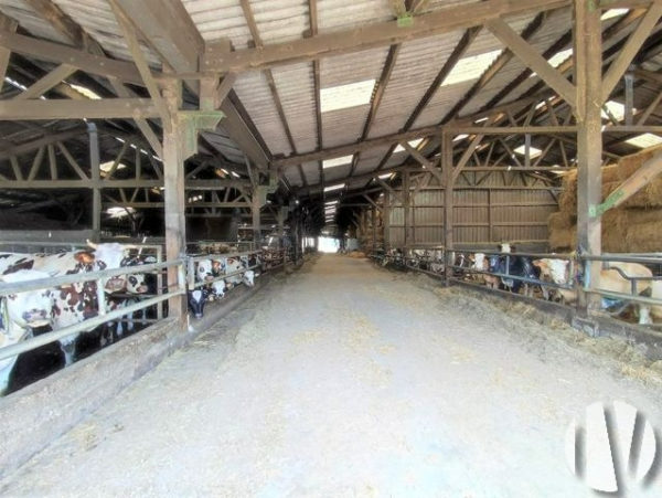 SOLD IN 2024 – SOUTH MANCHE. Dairy farm on 108 hectares