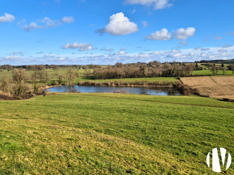 CHARENTE. Oost-Angoulême, rundveebedrijf op 280 hectare