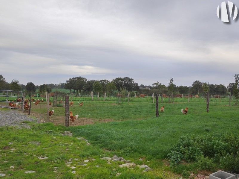 VERKOCHT IN 2024 – MAYENNE. Boerderij van 72 hectare voor directe verkoop