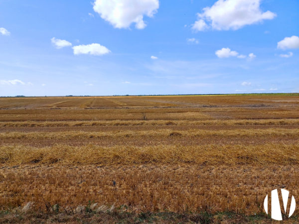 VENDEE. Exploitation polyculture sur 150 hectares