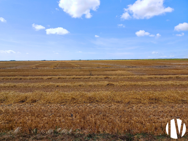 VENDEE. Mixed farming on 150 hectares