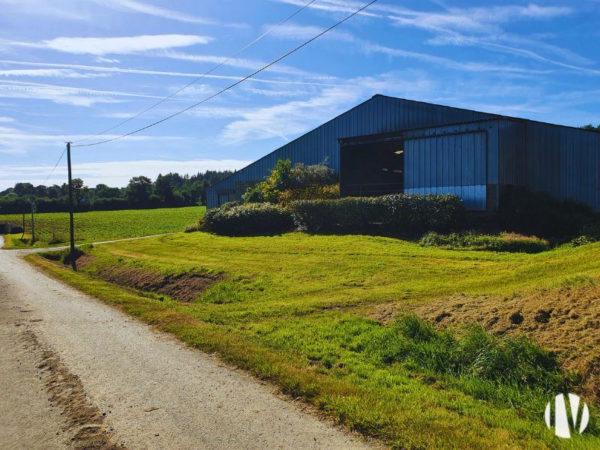 COTES D’ARMOR 700,000-litre dairy farm on 133 hectares